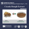 top quality 10:1 50:1 100:1 periostracum cicada extract powder